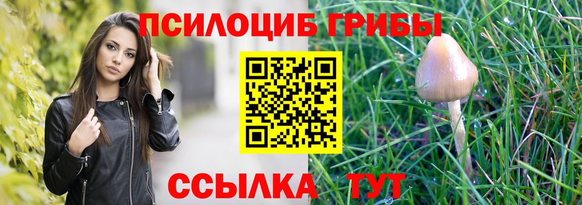 Псилоцибиновые грибы ЛСД Химки